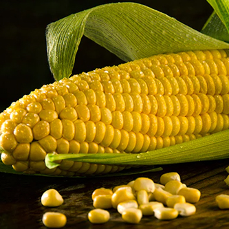 SWEET CORN